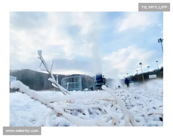 铭星冰雪技术服务覆盖全球，市场占有率室内造雪领域达85%以上